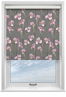 Ted Baker Wild Iris, Pink Charcoal - Roller Blind